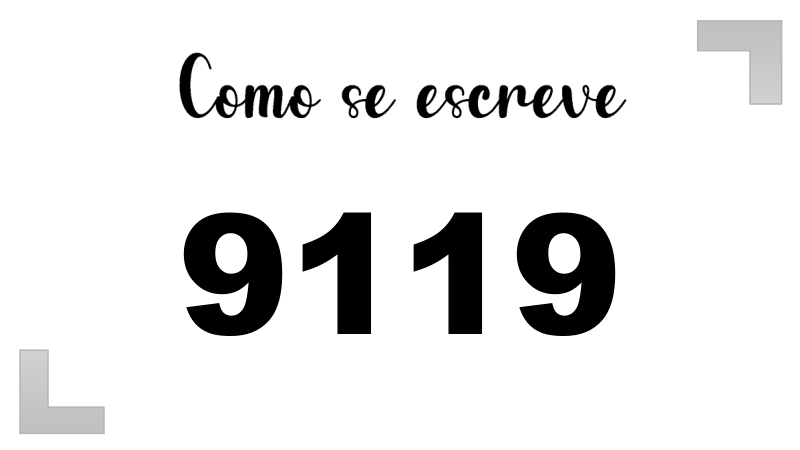 Imagem do número 9119